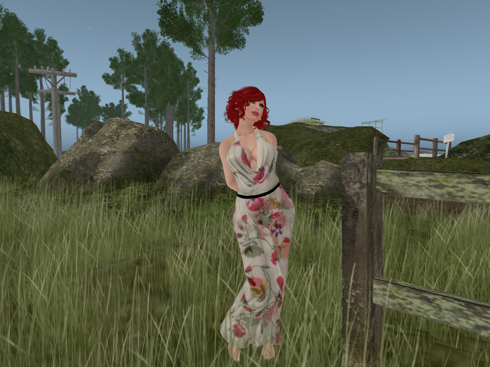 Snapshot_006 (2)